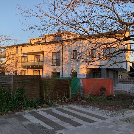 Ferienwohnung Baselblick, Eimeldingen Esterno foto