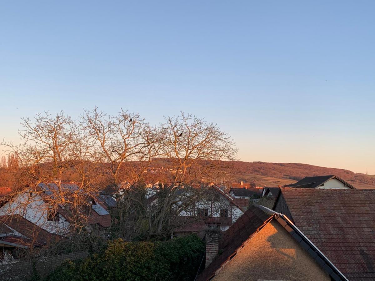 Ferienwohnung Baselblick, Eimeldingen Esterno foto